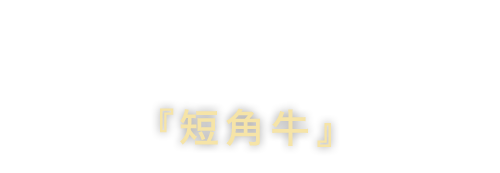 お肉のこだわり