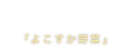 野菜のこだわり