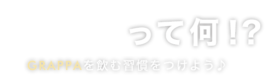 GRAPPAって何！？