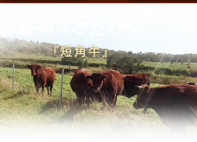 お肉のこだわり語